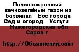 Почвопокровный, вечнозелёный газон из барвинка - Все города Сад и огород » Услуги   . Нижегородская обл.,Саров г.